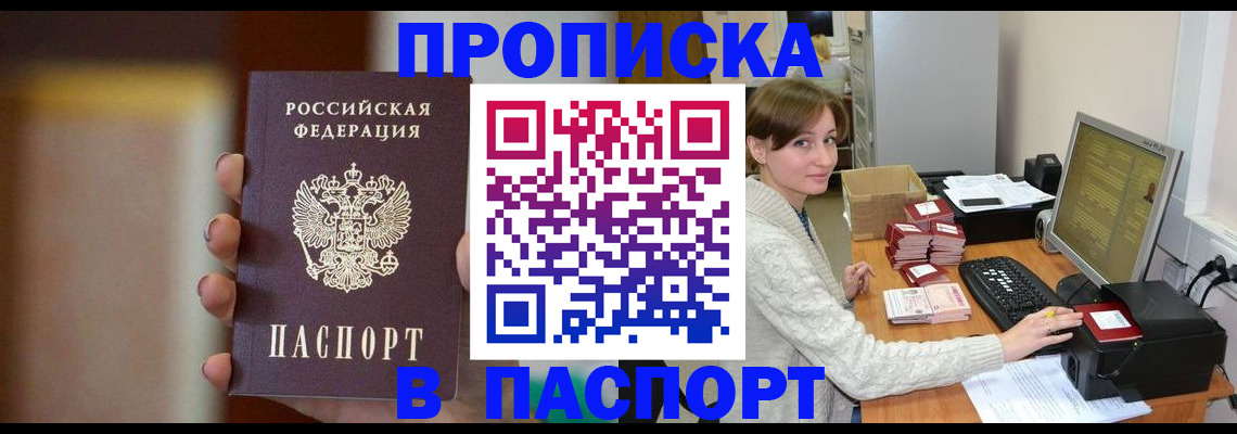 прописка законно в Сольцах